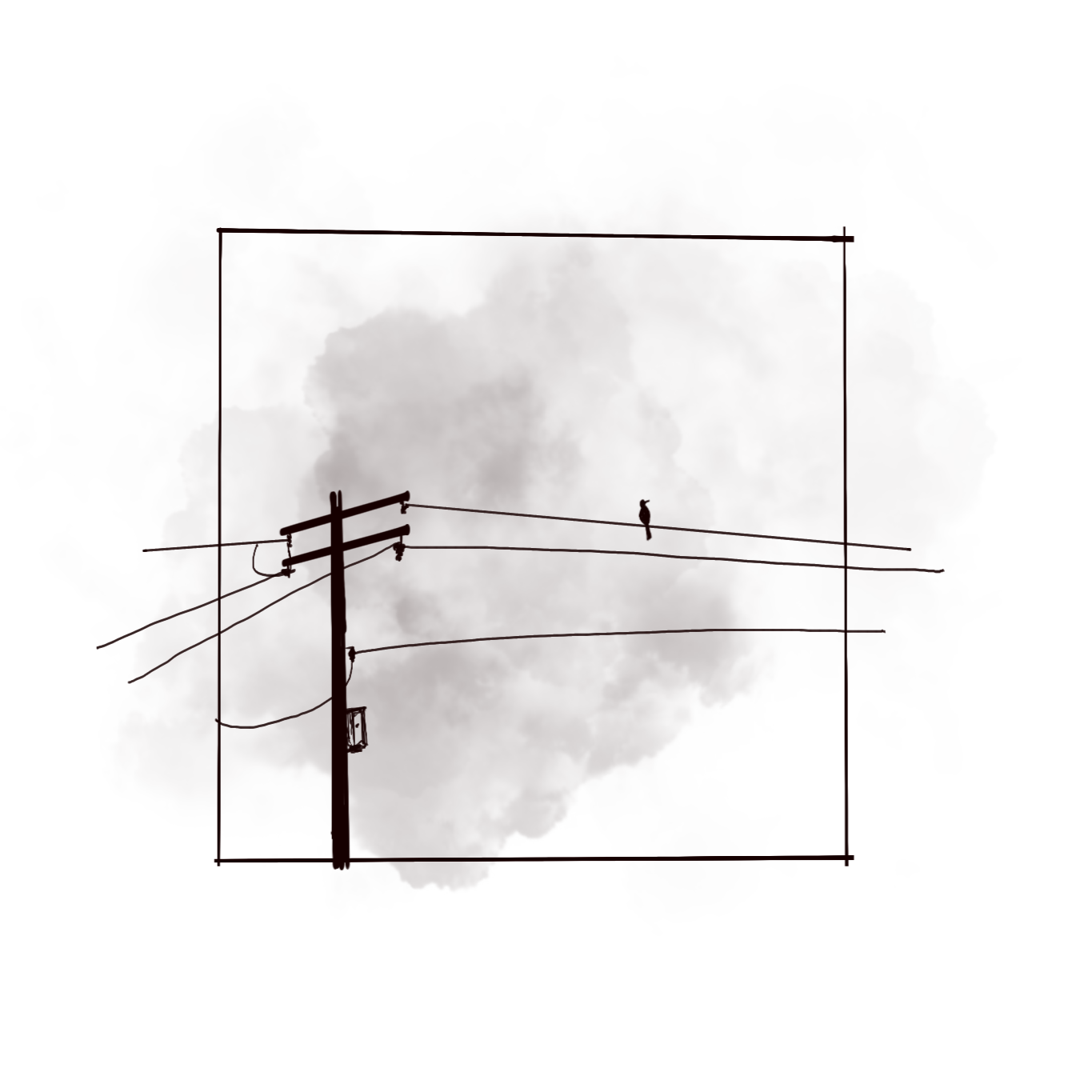 photo electric pole and bird